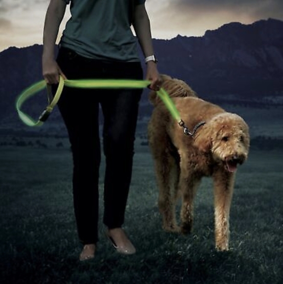 Nite Ize NiteDog USB Rechargeable LED Leash - Picture 3 of 5